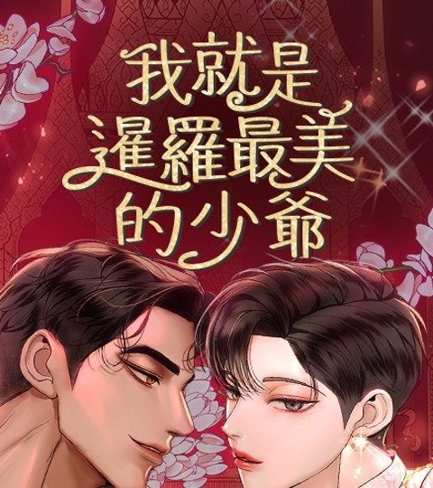 我就是暹罗最美的少爷封面